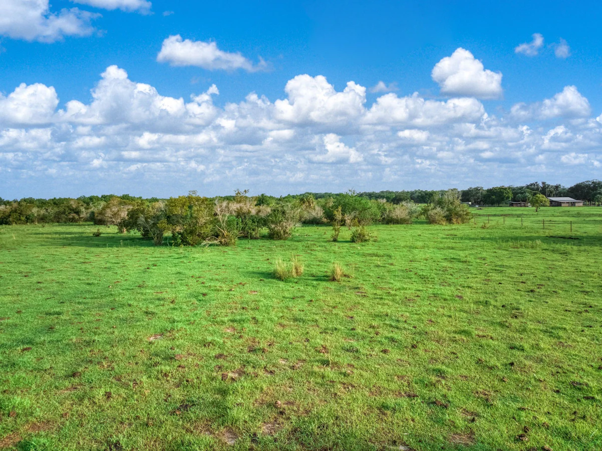 Open grassy land beneath a blue sky.
