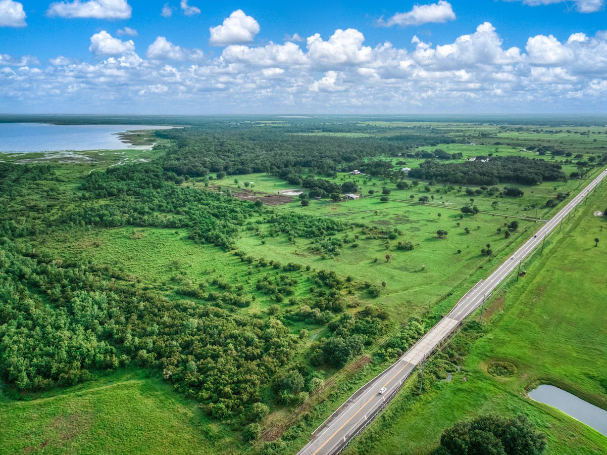 Aerial view of woodland and open land beside a road and lake.