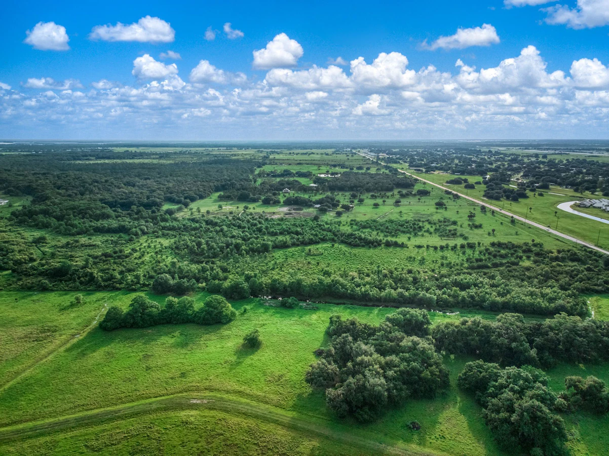 Aerial view of woodland and grassy clearings.
