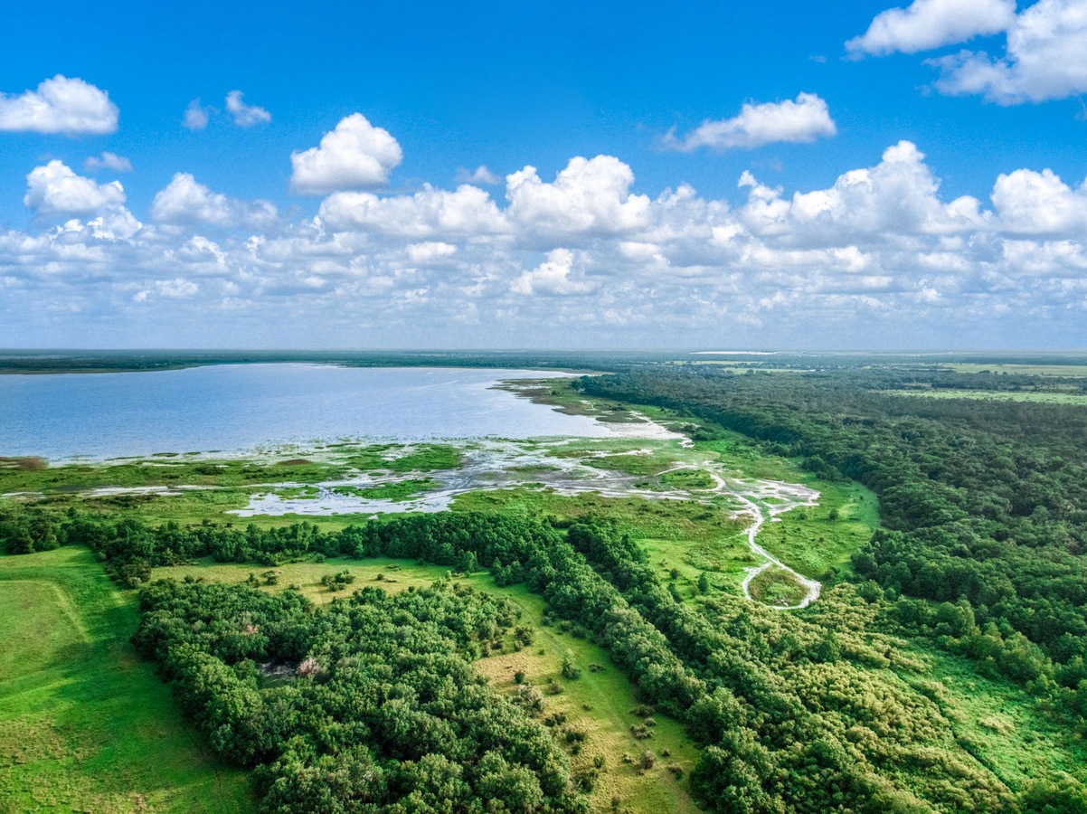 Aerial view of wooded land along a lake shoreline.