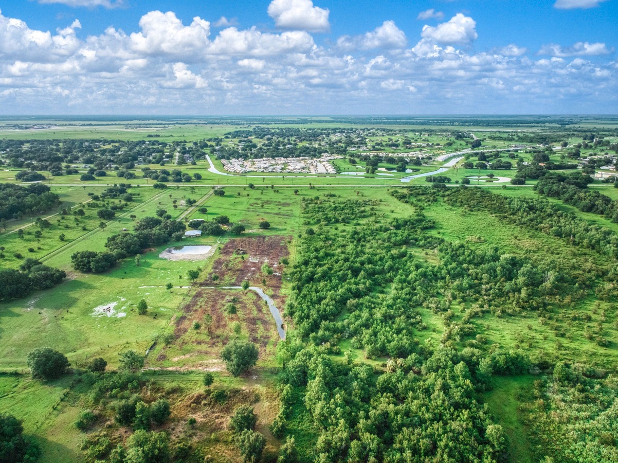 Aerial view of woodland and clearings near surrounding development.