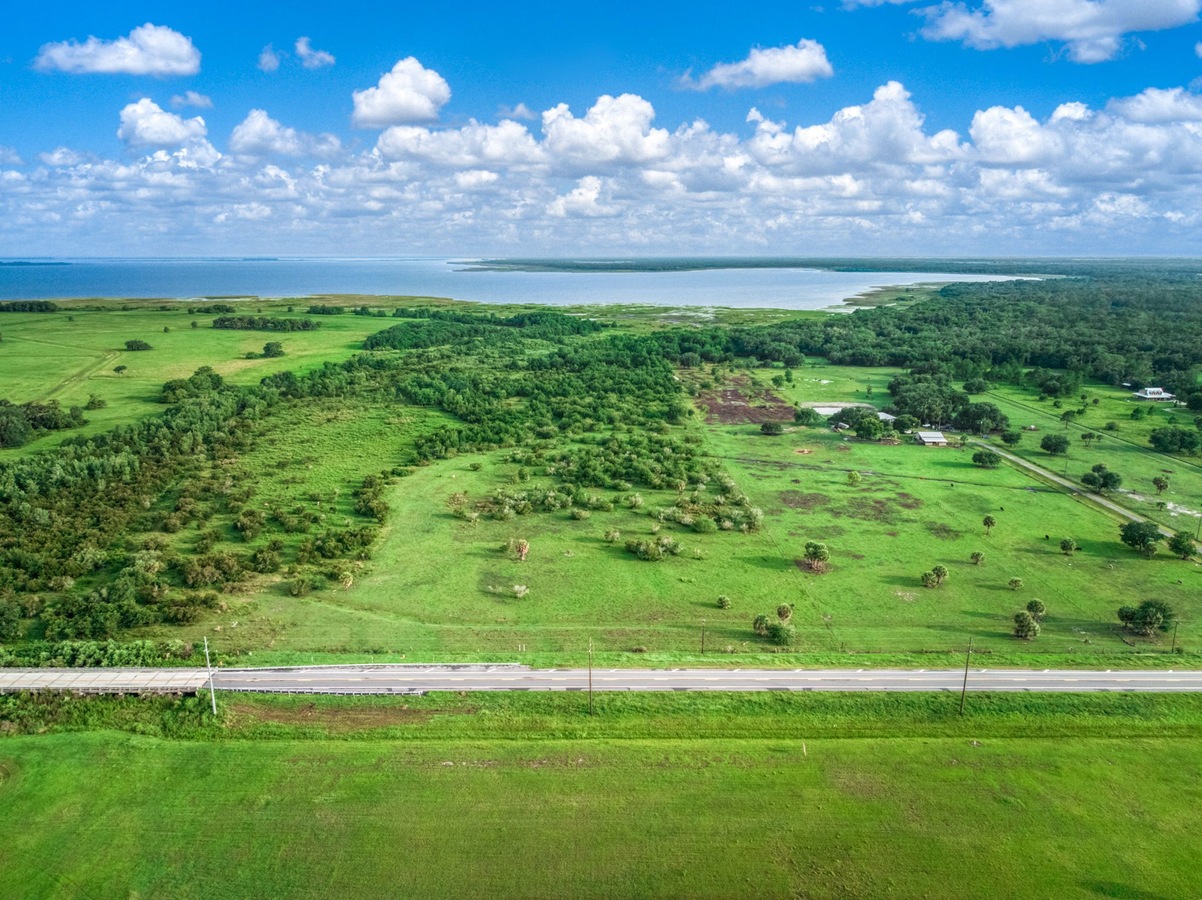 Aerial view of green land and trees beside a lake.